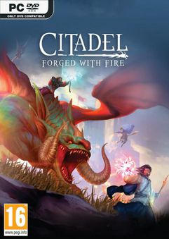 ปกเกม Citadel Forged with Fire