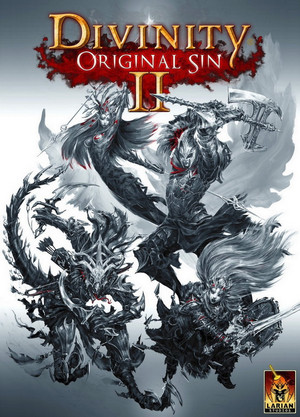 ปกเกม Divinity Original Sin 2