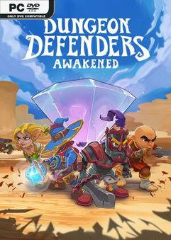 ปกเกม Dungeon Defenders Awakened